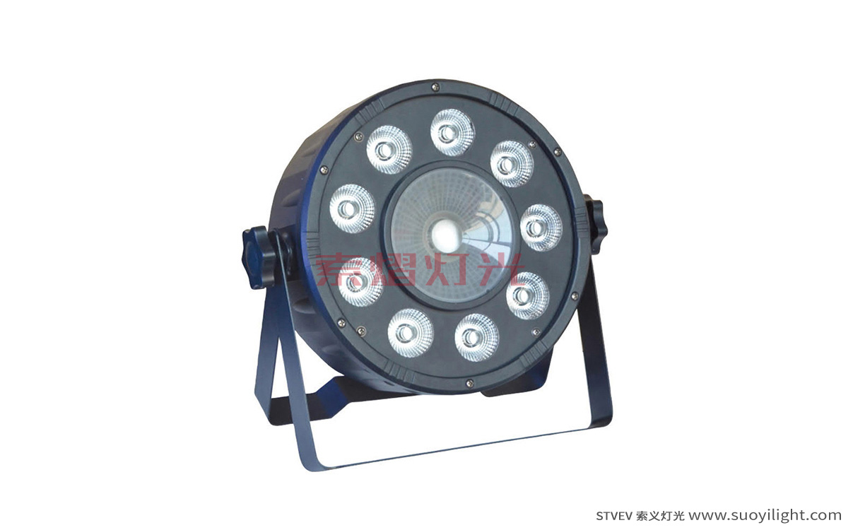 Malaysia9+1 LED Plastic Par Light