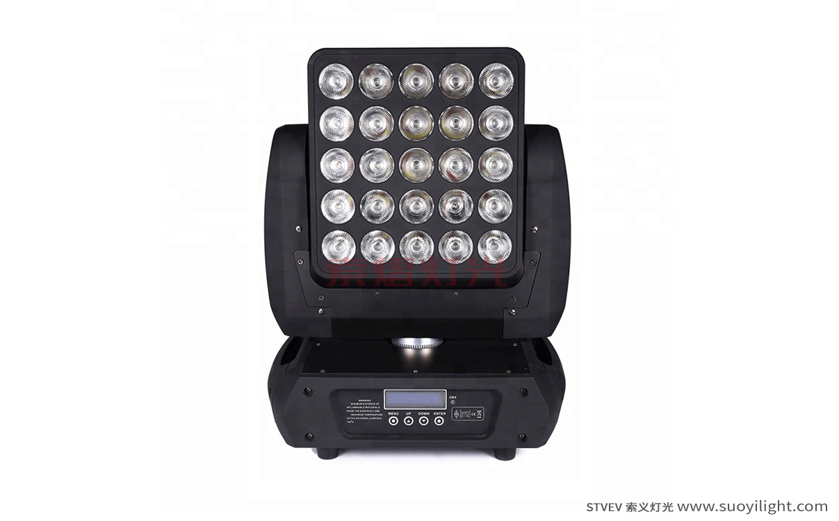 Malaysia25pcs Matrix LED Light production