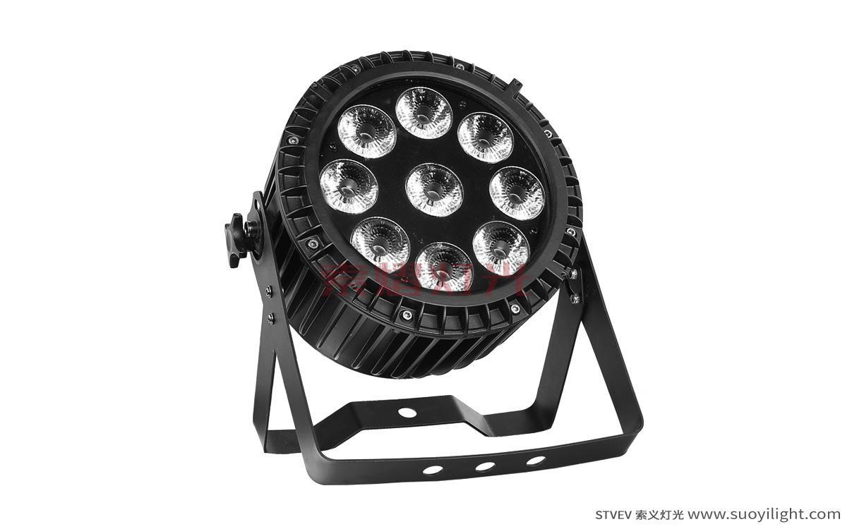 Malaysia9*12W 4 in 1 Waterproof LED Par Light manufacturer