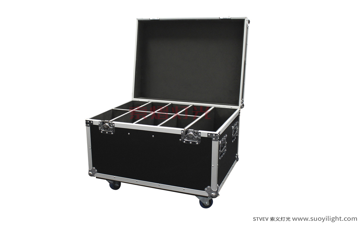 Malaysia8in1 Par Light Flight Case