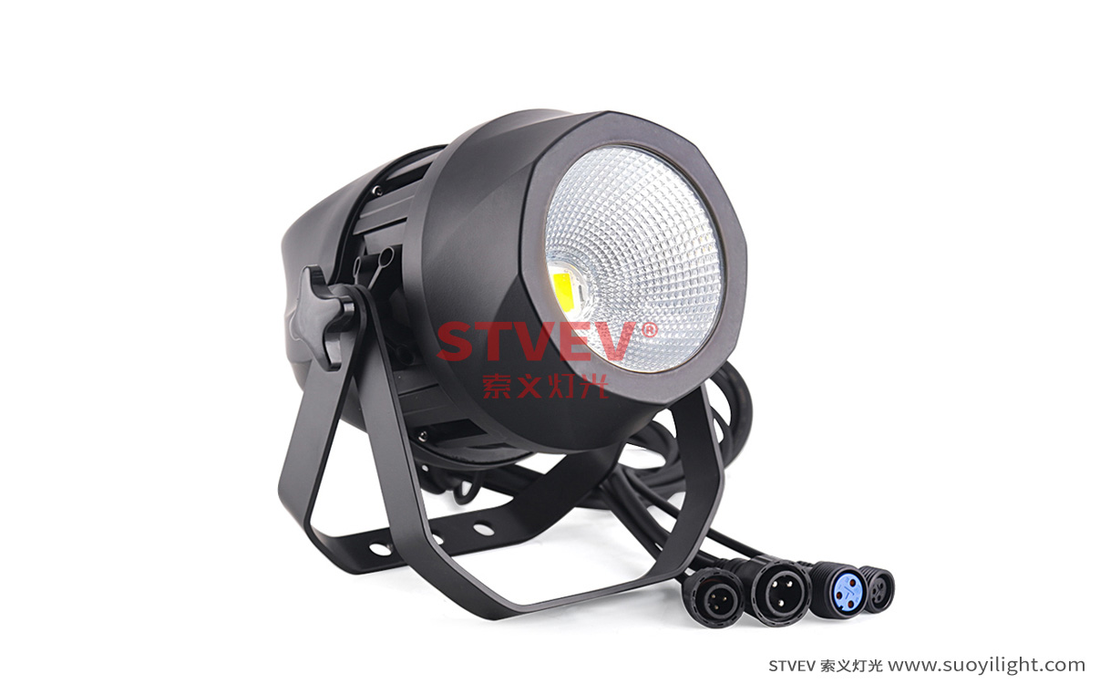 Malaysia200W Waterproof COB Par Light