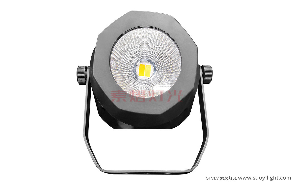 Malaysia200W Waterproof COB Par Light